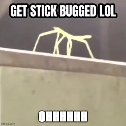 OOOOHHHHHHHHHHH | OHHHHHH | image tagged in get stick bugged lol | made w/ Imgflip meme maker