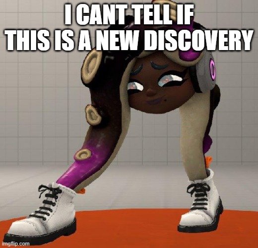 Cursed Marina | I CANT TELL IF THIS IS A NEW DISCOVERY | image tagged in cursed marina | made w/ Imgflip meme maker