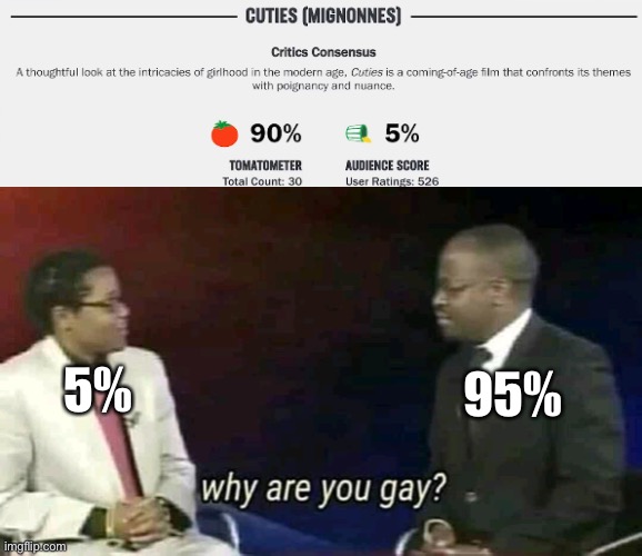 Why | 95%; 5% | image tagged in why are you gay | made w/ Imgflip meme maker