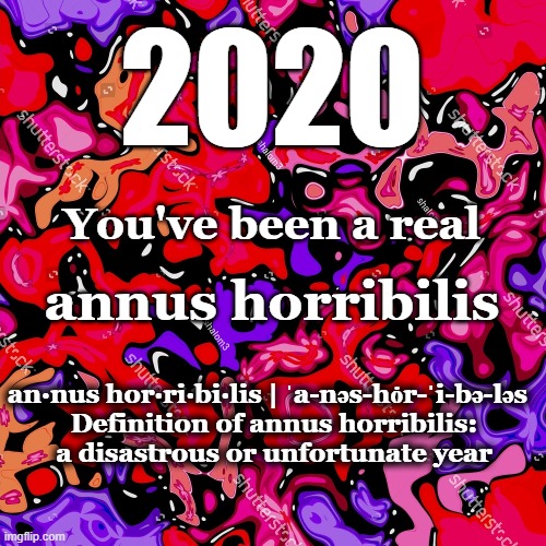 2020 | 2020; You've been a real; annus horribilis; an·​nus hor·​ri·​bi·​lis | ˈa-nəs-hȯr-ˈi-bə-ləs  

Definition of annus horribilis:
a disastrous or unfortunate year | image tagged in 2020 sucks,2020 | made w/ Imgflip meme maker