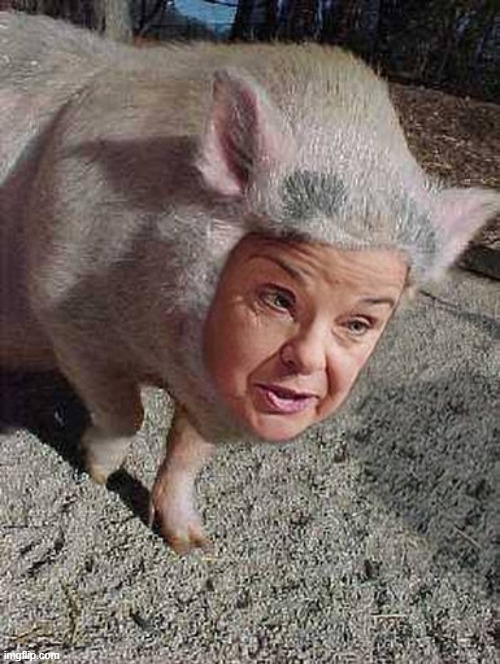 feinswine | image tagged in feinstein | made w/ Imgflip meme maker