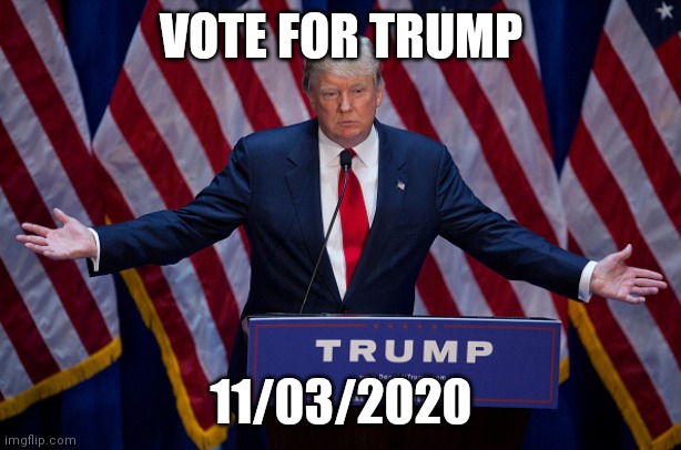 Make america great again | VOTE FOR TRUMP; 11/03/2020 | image tagged in donald trump | made w/ Imgflip meme maker