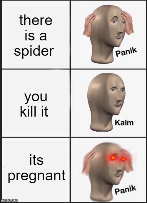 Panik Kalm Panik | there is a spider; you kill it; its pregnant | image tagged in memes,panik kalm panik | made w/ Imgflip meme maker