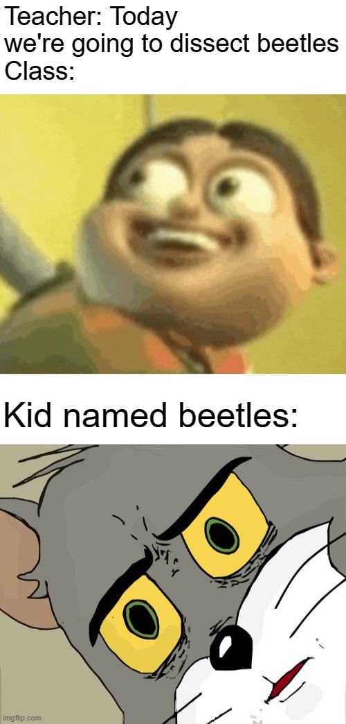 Teacher: Today we're going to dissect beetles
Class:; Kid named beetles: | image tagged in memes,unsettled tom | made w/ Imgflip meme maker