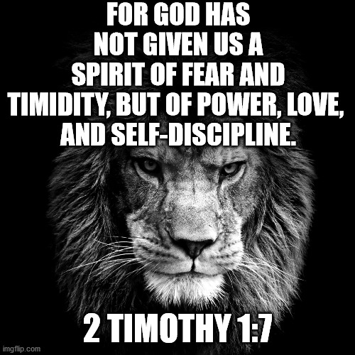 God Has Not Given Us A Spirit Of Fear | FOR GOD HAS NOT GIVEN US A SPIRIT OF FEAR AND TIMIDITY, BUT OF POWER, LOVE, 
AND SELF-DISCIPLINE. 2 TIMOTHY 1:7 | image tagged in courage,encouragement,holy bible,bible verse | made w/ Imgflip meme maker