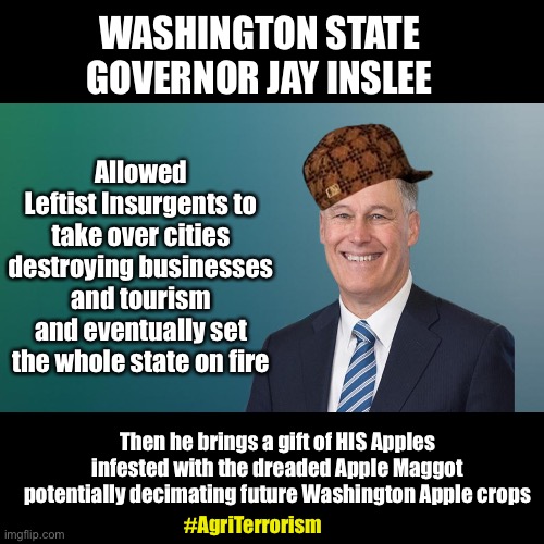 Agri-Terrorism | WASHINGTON STATE GOVERNOR JAY INSLEE; Allowed Leftist Insurgents to take over cities destroying businesses and tourism and eventually set the whole state on fire; Then he brings a gift of HIS Apples infested with the dreaded Apple Maggot potentially decimating future Washington Apple crops; #AgriTerrorism | image tagged in apples,antifa,war | made w/ Imgflip meme maker
