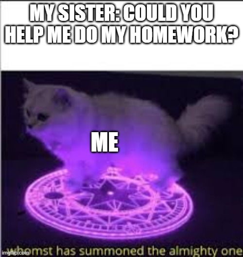 Whomst has Summoned the almighty one | MY SISTER: COULD YOU HELP ME DO MY HOMEWORK? ME | image tagged in whomst has summoned the almighty one | made w/ Imgflip meme maker