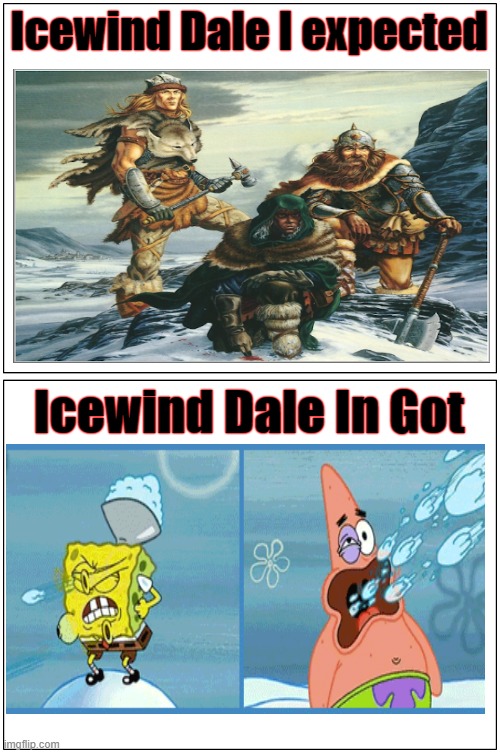 Blank Comic Panel 1x2 | Icewind Dale I expected; Icewind Dale In Got | image tagged in memes,blank comic panel 1x2 | made w/ Imgflip meme maker