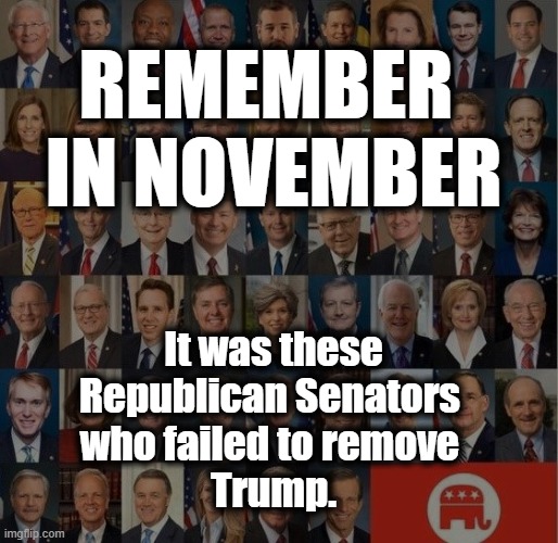 Remember in November | REMEMBER 
IN NOVEMBER; It was these
Republican Senators 
who failed to remove 
Trump. | image tagged in election 2020,gop,senators,trump | made w/ Imgflip meme maker