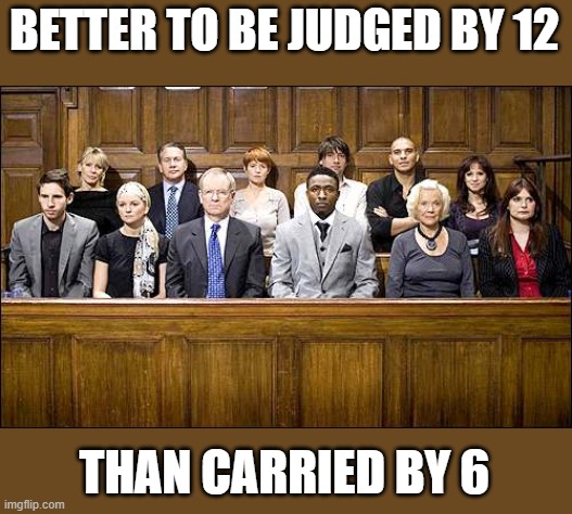 Jury | BETTER TO BE JUDGED BY 12 THAN CARRIED BY 6 | image tagged in jury | made w/ Imgflip meme maker