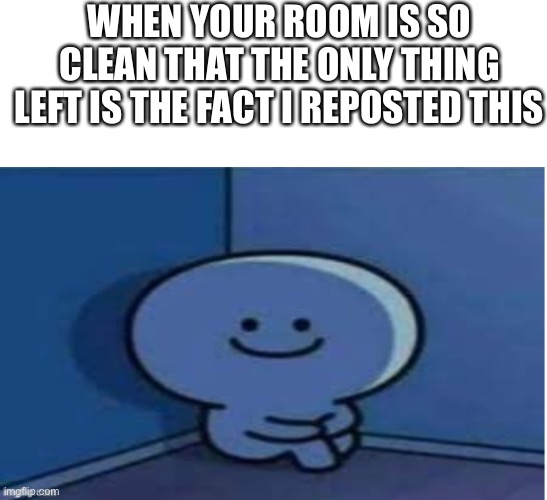 WHEN YOUR ROOM IS SO CLEAN THAT THE ONLY THING LEFT IS THE FACT I REPOSTED THIS | made w/ Imgflip meme maker