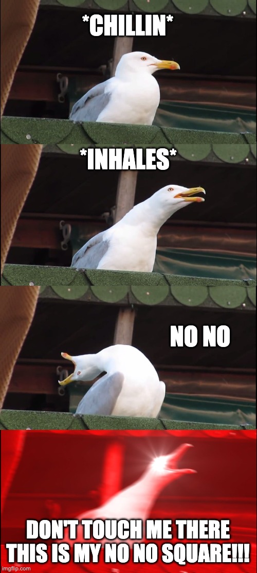 Inhaling Seagull | *CHILLIN*; *INHALES*; NO NO; DON'T TOUCH ME THERE THIS IS MY NO NO SQUARE!!! | image tagged in memes,inhaling seagull | made w/ Imgflip meme maker