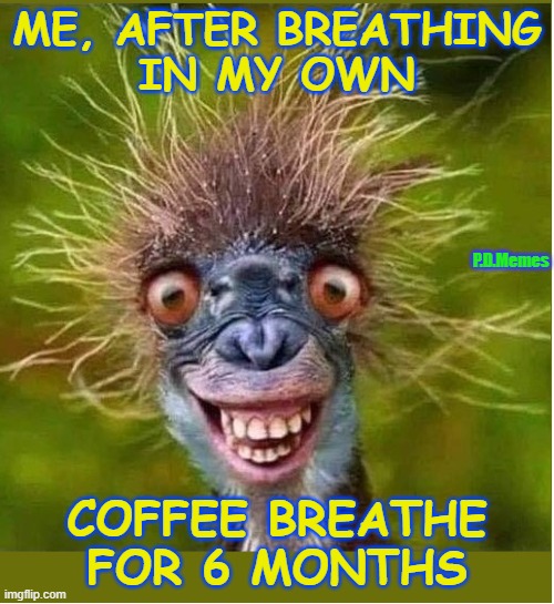 ME, AFTER BREATHING
 IN MY OWN; P.D.Memes; COFFEE BREATHE FOR 6 MONTHS | image tagged in covid-19,face mask,mask,coffee addict,corona,funny memes | made w/ Imgflip meme maker