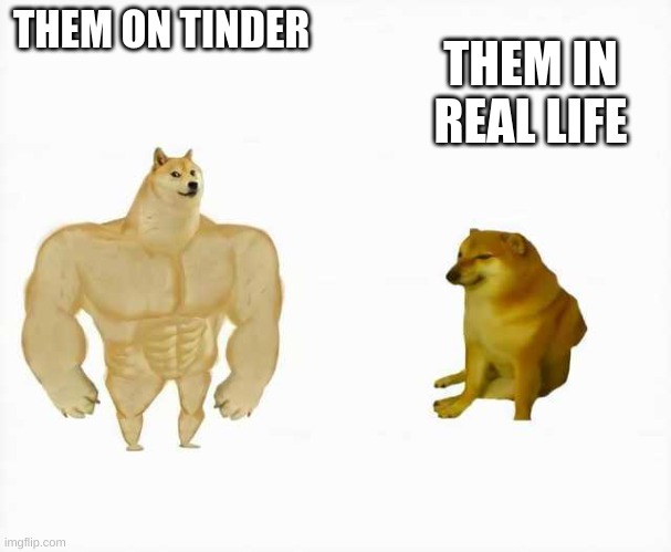 oof | THEM ON TINDER; THEM IN REAL LIFE | image tagged in strong dog vs weak dog | made w/ Imgflip meme maker