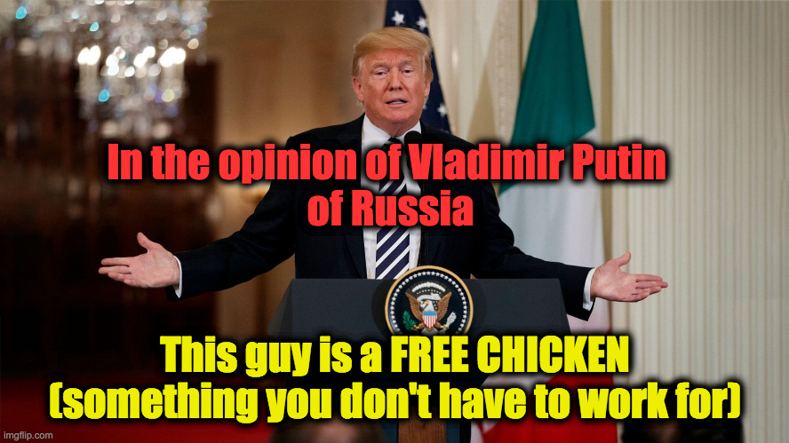 Free Chicken | In the opinion of Vladimir Putin 
of Russia; This guy is a FREE CHICKEN
(something you don't have to work for) | image tagged in president donald j trump - shrugs off collusion as a crime | made w/ Imgflip meme maker