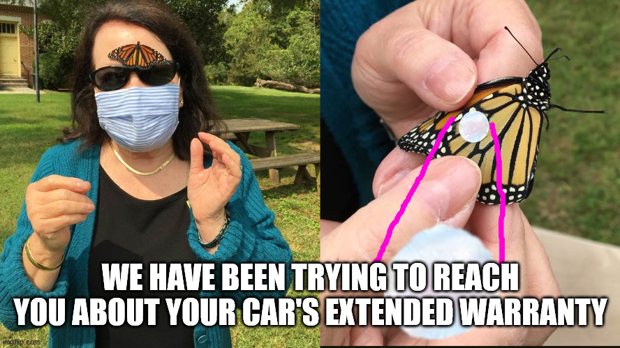 Butterfly Bonnie | WE HAVE BEEN TRYING TO REACH YOU ABOUT YOUR CAR'S EXTENDED WARRANTY | image tagged in butterfly message,butterfly bonnie | made w/ Imgflip meme maker