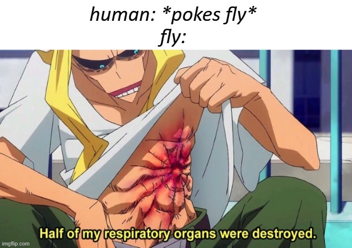 fly | human: *pokes fly* 

fly: | image tagged in memes | made w/ Imgflip meme maker