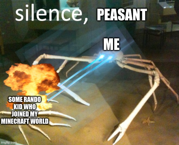Silence Crab | PEASANT; ME; SOME RANDO KID WHO JOINED MY MINECRAFT WORLD | image tagged in silence crab | made w/ Imgflip meme maker
