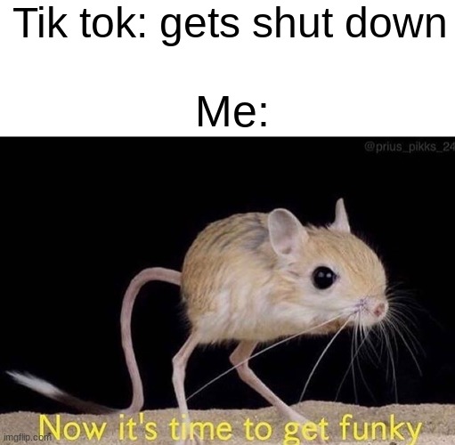 Tik tok: gets shut down; Me: | image tagged in blank white template,now it s time to get funky | made w/ Imgflip meme maker