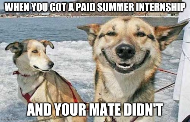 internship | WHEN YOU GOT A PAID SUMMER INTERNSHIP; AND YOUR MATE DIDN'T | image tagged in memes,original stoner dog | made w/ Imgflip meme maker