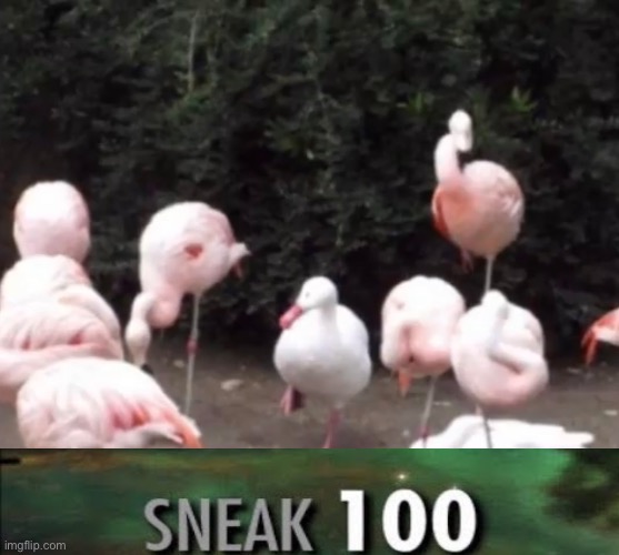 sneaky boi | image tagged in video games | made w/ Imgflip meme maker