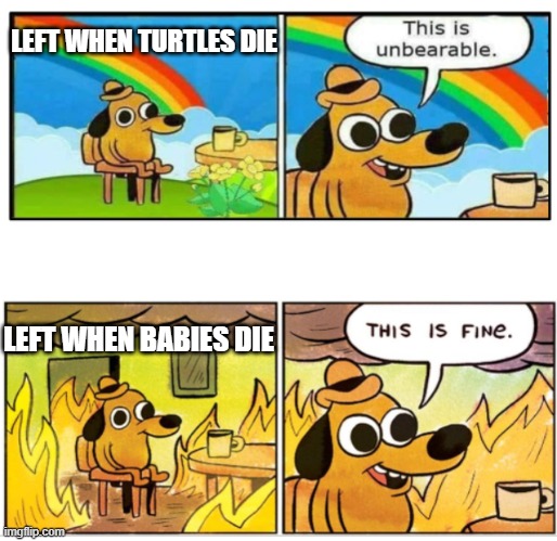 Dems when... | LEFT WHEN TURTLES DIE; LEFT WHEN BABIES DIE | image tagged in unbearable,memes,turtles,abortion is murder,this is fine,democrats | made w/ Imgflip meme maker