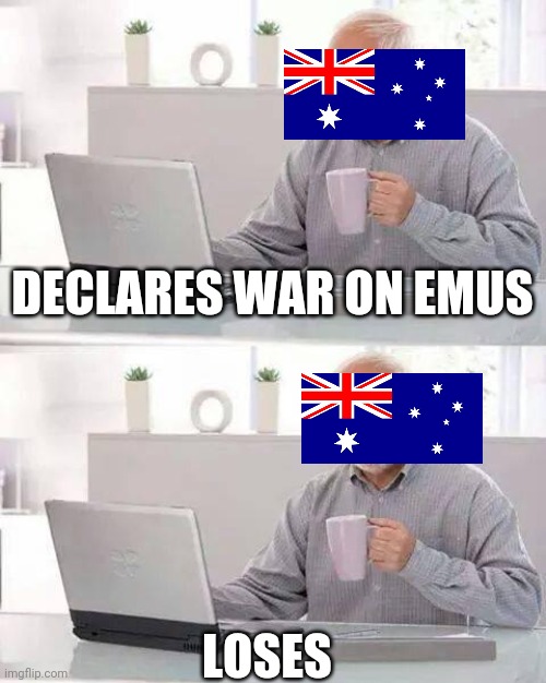 Hide the Pain Harold |  DECLARES WAR ON EMUS; LOSES | image tagged in memes,hide the pain harold | made w/ Imgflip meme maker