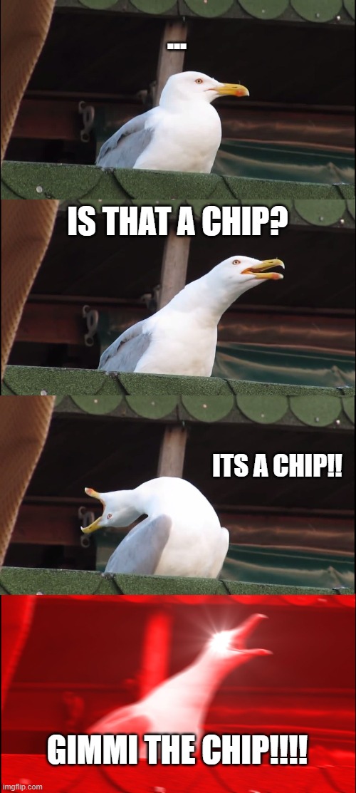 Inhaling Seagull Meme | ... IS THAT A CHIP? ITS A CHIP!! GIMMI THE CHIP!!!! | image tagged in memes,inhaling seagull | made w/ Imgflip meme maker