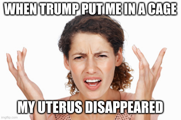 Indignant | WHEN TRUMP PUT ME IN A CAGE MY UTERUS DISAPPEARED | image tagged in indignant | made w/ Imgflip meme maker