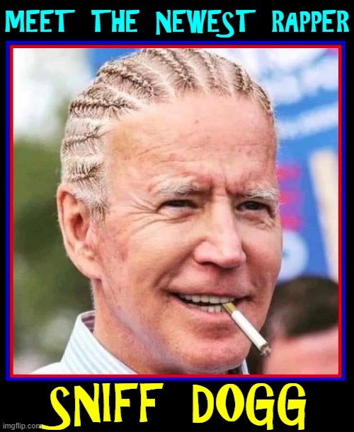 He'd be #1 if he could remember the lyrics | MEET THE NEWEST RAPPER; SNIFF DOGG | image tagged in vince vance,snoop dogg,rappers,memes,braids,creepy joe biden | made w/ Imgflip meme maker
