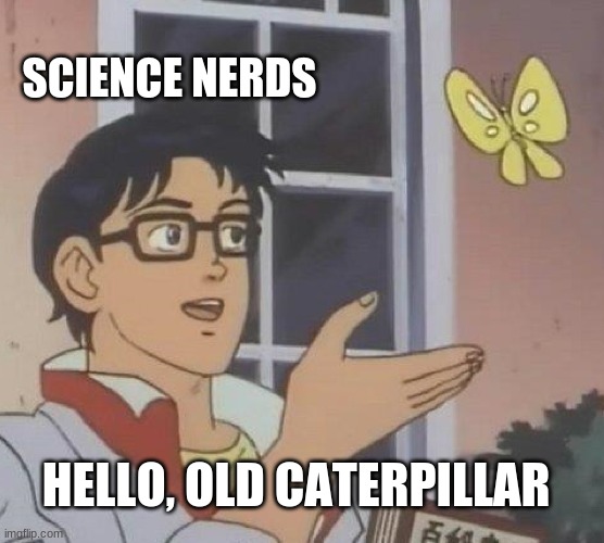 Is This A Pigeon | SCIENCE NERDS; HELLO, OLD CATERPILLAR | image tagged in memes,is this a pigeon | made w/ Imgflip meme maker