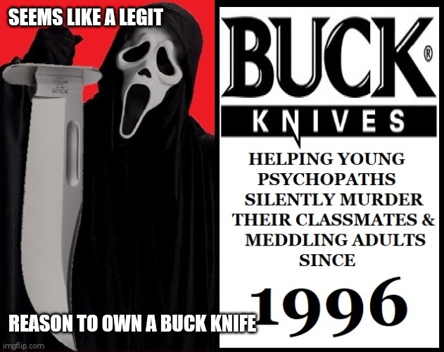 GHOSTFACE | SEEMS LIKE A LEGIT; REASON TO OWN A BUCK KNIFE | image tagged in ghostface | made w/ Imgflip meme maker
