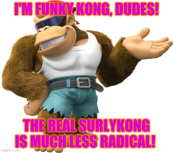 Funky Kong | I'M FUNKY KONG, DUDES! THE REAL SURLYKONG IS MUCH LESS RADICAL! | image tagged in funky kong | made w/ Imgflip meme maker