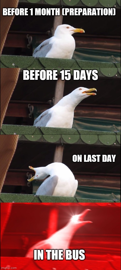 Inhaling Seagull | BEFORE 1 MONTH (PREPARATION); BEFORE 15 DAYS; ON LAST DAY; IN THE BUS | image tagged in memes,inhaling seagull | made w/ Imgflip meme maker