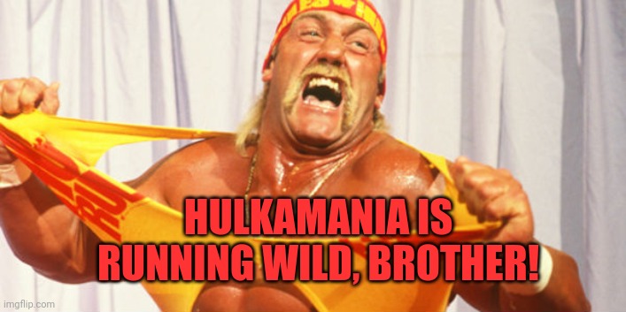 Hulkamania | HULKAMANIA IS RUNNING WILD, BROTHER! | image tagged in hulkamania | made w/ Imgflip meme maker