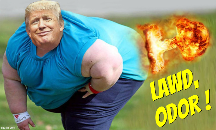 image tagged in trump,law and order,lawd,odor,fart,farting | made w/ Imgflip meme maker