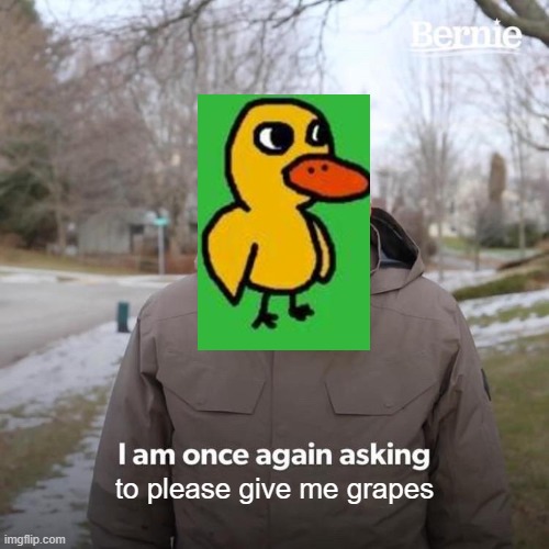 grapes grapes grapes | to please give me grapes | image tagged in memes,bernie i am once again asking for your support | made w/ Imgflip meme maker