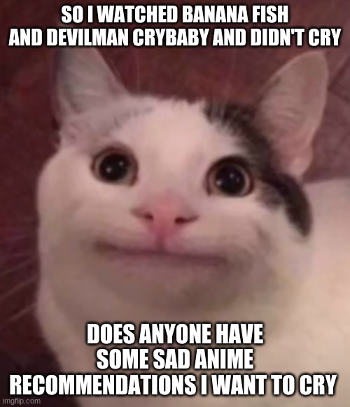 I'm not lying I need to feel emotion | SO I WATCHED BANANA FISH AND DEVILMAN CRYBABY AND DIDN'T CRY; DOES ANYONE HAVE SOME SAD ANIME RECOMMENDATIONS I WANT TO CRY | image tagged in fake smile cat,banana fish,devilman crybaby,cry | made w/ Imgflip meme maker