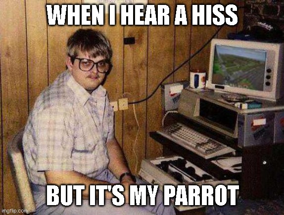 Parrot go HISS | WHEN I HEAR A HISS; BUT IT'S MY PARROT | image tagged in but minecraft is my life | made w/ Imgflip meme maker