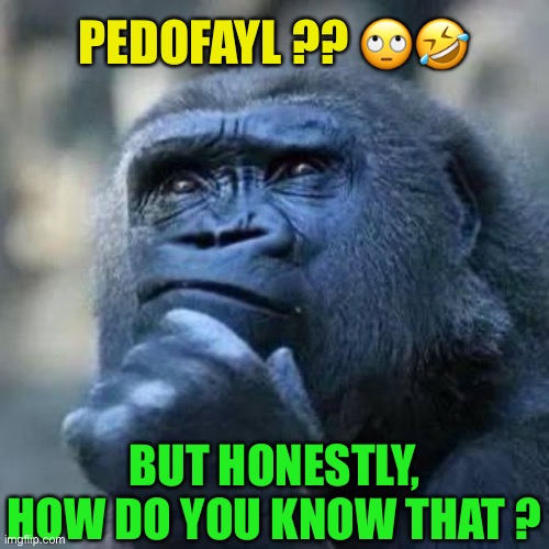 Thinking ape | PEDOFAYL ?? ?? BUT HONESTLY, HOW DO YOU KNOW THAT ? | image tagged in thinking ape | made w/ Imgflip meme maker