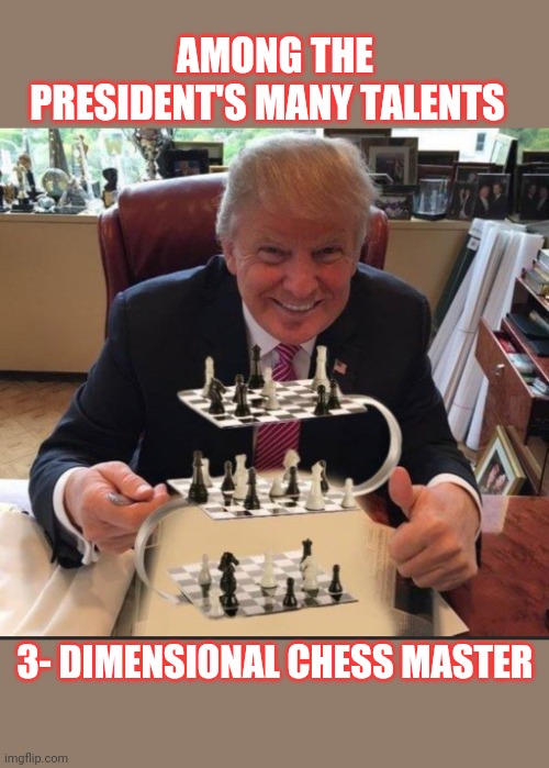 Very Stable Genius | AMONG THE PRESIDENT'S MANY TALENTS; 3- DIMENSIONAL CHESS MASTER | image tagged in vote trump,vote,republican party | made w/ Imgflip meme maker