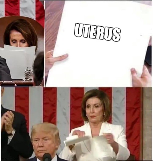 Nancy Pelosi rips paper | UTERUS | image tagged in nancy pelosi rips paper | made w/ Imgflip meme maker