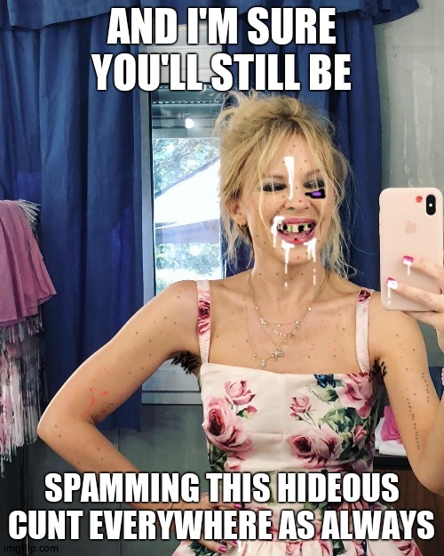 Kylie selfie | AND I'M SURE YOU'LL STILL BE SPAMMING THIS HIDEOUS CUNT EVERYWHERE AS ALWAYS | image tagged in kylie selfie | made w/ Imgflip meme maker