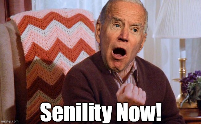 When you see him on parade don't you just think he's so close to needing 24hr care? Anyone but Biden. | Senility Now! | image tagged in serenity now,biden 2020,sad joe biden,senile joe biden | made w/ Imgflip meme maker