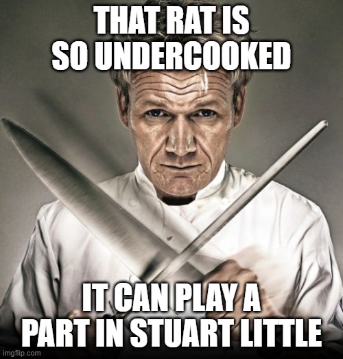 Chef Ramsay | THAT RAT IS SO UNDERCOOKED; IT CAN PLAY A PART IN STUART LITTLE | image tagged in chef ramsay,funny,memes,gordon ramsay,meme,angry chef gordon ramsay | made w/ Imgflip meme maker