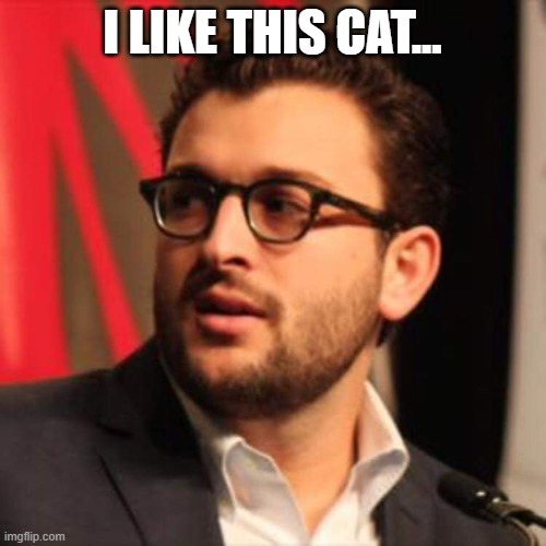 Meninist Says | I LIKE THIS CAT... | image tagged in meninist says | made w/ Imgflip meme maker