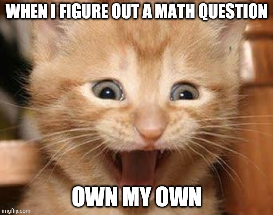 Excited Cat | WHEN I FIGURE OUT A MATH QUESTION; OWN MY OWN | image tagged in memes,excited cat | made w/ Imgflip meme maker
