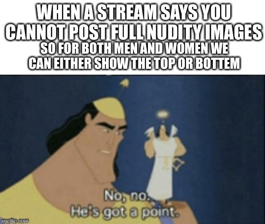 no no hes got a point | WHEN A STREAM SAYS YOU CANNOT POST FULL NUDITY IMAGES; SO FOR BOTH MEN AND WOMEN WE CAN EITHER SHOW THE TOP OR BOTTEM | image tagged in no no hes got a point | made w/ Imgflip meme maker