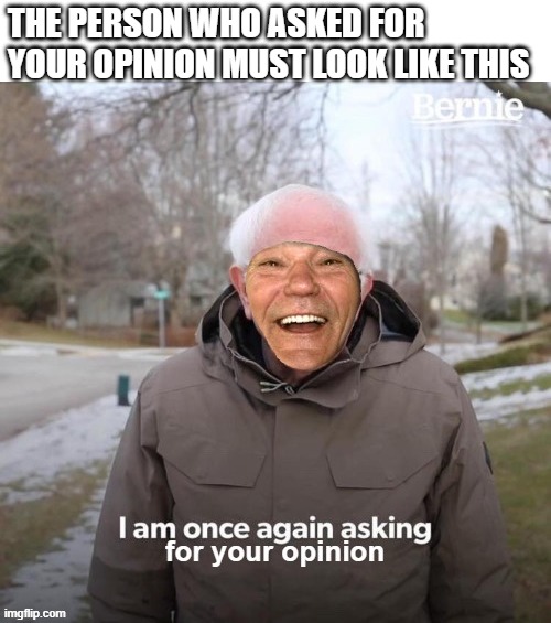 yeah who asked btw? | THE PERSON WHO ASKED FOR YOUR OPINION MUST LOOK LIKE THIS | image tagged in bernie i am once again asking for your support,kewlew | made w/ Imgflip meme maker