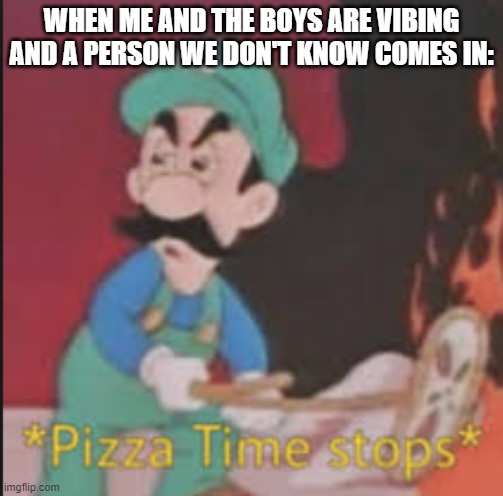 Pizza Time Stops | WHEN ME AND THE BOYS ARE VIBING AND A PERSON WE DON'T KNOW COMES IN: | image tagged in pizza time stops | made w/ Imgflip meme maker